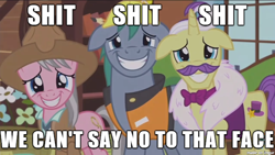 Size: 610x343 | Tagged: safe, edit, edited screencap, screencap, character:dandy grandeur, character:hard hat, character:wrangler, species:pony, episode:fluttershy leans in, g4, my little pony: friendship is magic, bookcase, couch, floppy ears, flower, grin, image macro, meme, nervous, nervous grin, pencil, skunk stripe, smiling, vulgar