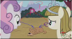 Size: 1009x548 | Tagged: safe, edit, edited screencap, screencap, character:rarity, character:sweetie belle, character:zipporwhill, species:pony, episode:forever filly, g4, my little pony: friendship is magic, arrows, bush, failed a spot check, question mark, ripley