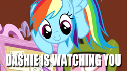 Size: 616x346 | Tagged: safe, edit, edited screencap, screencap, character:rainbow dash, species:pony, episode:fluttershy leans in, g4, my little pony: friendship is magic, cute, female, fluttershy's dreamboard, flying, image macro, meme, solo