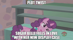 Size: 900x500 | Tagged: safe, edit, edited screencap, screencap, character:sugar belle, species:pony, episode:hard to say anything, g4, my little pony: friendship is magic, cargo ship, display case, female, image macro, meme, plot twist, shipping, solo