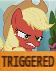 Size: 850x1075 | Tagged: safe, edit, edited screencap, screencap, character:applejack, episode:honest apple, g4, my little pony: friendship is magic, angry, cropped, female, meme, red face, solo, text, triggered