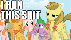 Size: 784x438 | Tagged: safe, edit, edited screencap, screencap, character:apple fritter, character:apple strudely, character:gala appleby, character:ginger gold, character:spike, species:dragon, species:earth pony, species:pony, episode:friendship is magic, g4, my little pony: friendship is magic, apple family member, artifact, brony history, character:sunfire, female, image macro, male, mare, meme, pacific rose, vulgar