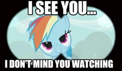Size: 497x290 | Tagged: safe, edit, edited screencap, screencap, character:rainbow dash, species:pegasus, species:pony, episode:may the best pet win, g4, my little pony: friendship is magic, bedroom eyes, caption, female, image macro, looking at you, mare, meme, solo