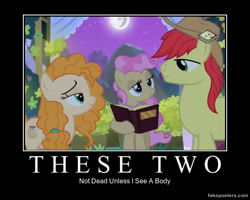 Size: 600x480 | Tagged: safe, edit, edited screencap, screencap, character:bright mac, character:mayor mare, character:pear butter, species:pony, ship:brightbutter, episode:the perfect pear, g4, my little pony: friendship is magic, book, demotivational poster, denial, female, lidded eyes, looking at each other, male, mare in the moon, marriage, meme, moon, night, non-dyed mayor, shipping, straight, wedding, younger