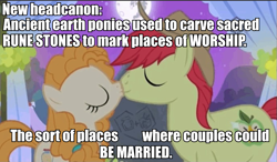 Size: 685x401 | Tagged: safe, edit, edited screencap, screencap, character:bright mac, character:pear butter, species:pony, ship:brightbutter, episode:the perfect pear, g4, my little pony: friendship is magic, deepest lore, female, headcanon, male, marriage, pagan, paganism, religion, shipping, straight, tradition