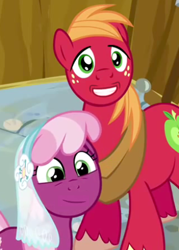 Size: 328x458 | Tagged: safe, edit, edited screencap, screencap, character:big mcintosh, character:cheerilee, species:earth pony, species:pony, episode:hearts and hooves day, g4, my little pony: friendship is magic, edited edit, inverted mouth, male, stallion, swapped mouths