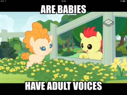 Size: 1494x1117 | Tagged: safe, edit, edited screencap, screencap, character:bright mac, character:pear butter, species:earth pony, species:pony, ship:brightbutter, episode:the perfect pear, g4, my little pony: friendship is magic, babies, baby, baby ponies, baby pony, caption, duckery in the description, female, foal, grammar error, male, shipping, straight