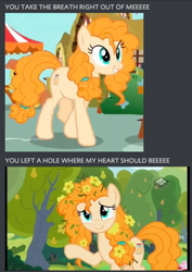 Size: 416x588 | Tagged: safe, edit, edited screencap, screencap, character:cinnamon pear, character:pear butter, species:pony, episode:the perfect pear, g4, my little pony: friendship is magic, breaking benjamin, breath, cute, meme, song reference
