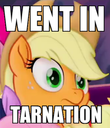 Size: 338x393 | Tagged: safe, edit, edited screencap, screencap, character:applejack, species:pony, my little pony: the movie (2017), image macro, meme, what in tarnation