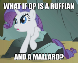 Size: 990x800 | Tagged: safe, edit, edited screencap, screencap, character:rarity, species:pony, episode:dragonshy, g4, my little pony: friendship is magic, female, image macro, meme, op is a duck (reaction image), ruffian, solo, sudden clarity rarity, sudden realization, text