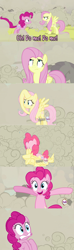 Size: 960x3240 | Tagged: safe, edit, edited screencap, screencap, character:fluttershy, character:pinkie pie, episode:a canterlot wedding, episode:the crystal empire, g4, my little pony: friendship is magic, clothing, doomie, eyeroll, fluttershy suit, hooves out, pony costume, ponysuit, shocked, spread hooves