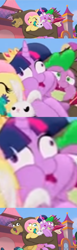 Size: 520x1678 | Tagged: safe, edit, edited screencap, screencap, character:angel bunny, character:fluttershy, character:harry, character:spike, character:twilight sparkle, character:twilight sparkle (alicorn), species:alicorn, species:dragon, species:pegasus, species:pony, my little pony: the movie (2017), bear, comic, derp, eyes closed, face swap, facebomb, faec, female, male, mare, meme, screencap comic, tenso