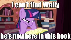 Size: 960x540 | Tagged: safe, edit, edited screencap, screencap, character:twilight sparkle, character:twilight sparkle (alicorn), species:alicorn, species:pony, episode:castle mane-ia, g4, my little pony: friendship is magic, book, doctor who, female, golden oaks library, image macro, meme, reading, solo, twelfth doctor, where's waldo