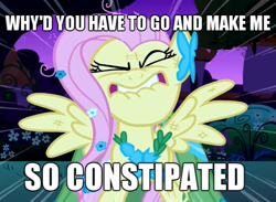 Size: 655x480 | Tagged: safe, edit, edited screencap, screencap, character:fluttershy, species:pegasus, species:pony, episode:the best night ever, g4, my little pony: friendship is magic, caption, constipated, eyes closed, female, flutterrage, image macro, lip bite, mare, solo, song reference, weird al yankovic
