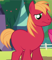 Size: 782x906 | Tagged: safe, edit, edited screencap, screencap, character:big mcintosh, species:earth pony, species:pony, episode:brotherhooves social, g4, my little pony: friendship is magic, bow, cute, macabetes, male, missing accessory, red, solo, stallion, worried