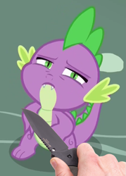 Size: 535x746 | Tagged: safe, edit, edited screencap, screencap, character:spike, species:dragon, species:human, episode:triple threat, g4, my little pony: friendship is magic, exploitable meme, knife cat, meme, ponified animal photo