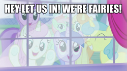 Size: 1055x594 | Tagged: safe, edit, edited screencap, screencap, character:amethyst star, character:lemon hearts, character:sea swirl, character:sparkler, character:twinkleshine, species:pony, species:unicorn, episode:canterlot boutique, g4, my little pony: friendship is magic, against glass, background pony, background pony audience, bronybait, cotton mint, dude let me in, eyes closed, fairy, glass, image macro, magic, meme, mint julep, smiling, tropical sunrise, window
