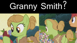 Size: 1920x1080 | Tagged: safe, edit, edited screencap, screencap, species:earth pony, species:pony, episode:campfire tales, g4, my little pony: friendship is magic, cropped, female, flower, hair bun, implied granny smith, mare, tail bun, unnamed pony