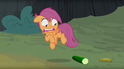 Size: 1673x930 | Tagged: safe, edit, edited screencap, screencap, character:scootaloo, species:pegasus, species:pony, episode:campfire tales, g4, my little pony: friendship is magic, behaving like a cat, cat scared of cucumber, cucumber, discovery family logo, female, filly, food, jumping, looking down, meme, solo