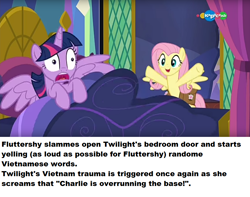 Size: 838x662 | Tagged: safe, edit, edited screencap, screencap, character:fluttershy, character:twilight sparkle, character:twilight sparkle (alicorn), species:alicorn, species:pegasus, species:pony, episode:a health of information, g4, my little pony: friendship is magic, bed, carousel (tv channel), crossing the line twice, duo, female, mare, ponestrip, pure unfiltered evil, saddle bag, vietnam flashback, we are going to hell