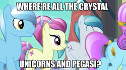 Size: 877x486 | Tagged: safe, edit, edited screencap, screencap, character:crystal arrow, character:fleur de verre, character:sapphire joy, species:crystal pony, species:pony, episode:the crystal empire, g4, my little pony: friendship is magic, discussion, image macro, meta, night knight