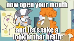 Size: 1920x1080 | Tagged: safe, edit, edited screencap, screencap, character:doctor muffin top, character:zecora, species:earth pony, species:pony, species:zebra, episode:a health of information, g4, my little pony: friendship is magic, clothing, futurama, glasses, image macro, meme, stare, stethoscope, swamp fever, test tube, zoidberg