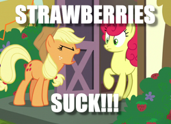Size: 714x516 | Tagged: safe, edit, edited screencap, screencap, character:applejack, character:strawberry sunrise, episode:honest apple, g4, my little pony: friendship is magic, image macro, meme, that pony sure does hate strawberries, this will end in pain, this will end in tears, yelling