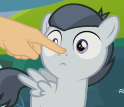 Size: 500x434 | Tagged: safe, edit, screencap, character:rumble, species:pegasus, species:pony, episode:marks and recreation, g4, my little pony: friendship is magic, boop, boop edit, colt, discovery family logo, male