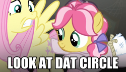 Size: 620x355 | Tagged: safe, edit, edited screencap, screencap, character:fluttershy, character:kettle corn, character:sugar belle, episode:marks and recreation, episode:the cutie map, g4, my little pony: friendship is magic, face swap, image macro, meme