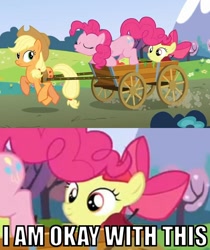 Size: 838x1000 | Tagged: safe, edit, edited screencap, screencap, character:apple bloom, character:applejack, character:pinkie pie, species:earth pony, species:pony, episode:too many pinkie pies, g4, my little pony: friendship is magic, caption, eyes on the prize, female, filly, image macro, mare