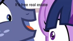 Size: 2208x1242 | Tagged: safe, edit, edited screencap, screencap, character:star tracker, character:twilight sparkle, character:twilight sparkle (alicorn), species:alicorn, species:pony, episode:once upon a zeppelin, g4, my little pony: friendship is magic, it's free real estate, meme, text, tim and eric, tim and eric awesome show great job