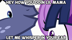 Size: 1024x576 | Tagged: safe, edit, edited screencap, screencap, character:star tracker, character:twilight sparkle, character:twilight sparkle (alicorn), species:alicorn, species:pony, episode:once upon a zeppelin, g4, my little pony: friendship is magic, caption, image macro, meme, song reference, wait, whisper, ying yang twins
