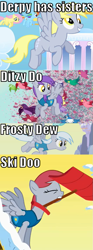 Size: 427x1142 | Tagged: safe, edit, edited screencap, screencap, character:derpy hooves, character:fluttershy, character:rainbow dash, species:bird, species:pegasus, species:pony, episode:winter wrap up, g4, my little pony: friendship is magic, background pony, ditzy doo, family, female, flutter doo, frosty dew, headcanon, image macro, mare, mouth hold, purple mane, recolor, red mane, shovel, ski doo, snow shovel, text, weather team, winter wrap up vest