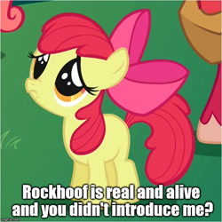 Size: 656x657 | Tagged: safe, edit, edited screencap, screencap, character:apple bloom, episode:friendship is magic, episode:shadow play, g4, my little pony: friendship is magic, image macro, implied rockhoof, meme