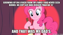 Size: 600x337 | Tagged: safe, edit, edited screencap, screencap, character:pinkie pie, episode:baby cakes, g4, my little pony: friendship is magic, american dad, image macro, meme