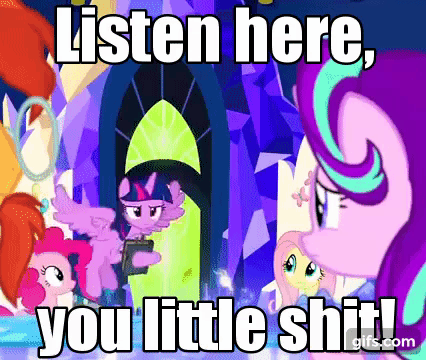 Size: 426x360 | Tagged: safe, edit, edited screencap, screencap, character:fluttershy, character:pinkie pie, character:starlight glimmer, character:sunburst, character:twilight sparkle, character:twilight sparkle (alicorn), species:alicorn, species:earth pony, species:pegasus, species:pony, species:unicorn, episode:shadow play, g4, my little pony: friendship is magic, animated, blinking, book, female, flying, frown, gif, glare, image macro, listen here, male, mare, meme, open mouth, pointing, raised eyebrow, spread wings, stallion, talking, text, underhoof, vulgar, wings