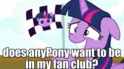 Size: 1920x1080 | Tagged: safe, edit, edited screencap, screencap, character:twilight sparkle, character:twilight sparkle (alicorn), species:alicorn, species:pony, episode:once upon a zeppelin, g4, my little pony: friendship is magic, female, flag, image macro, meme, solo