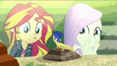 Size: 403x228 | Tagged: safe, edit, edited screencap, screencap, character:flash sentry, character:fluttershy, character:ray, character:sunset shimmer, species:human, ship:flashimmer, episode:pet project, eqg summertime shorts, g4, my little pony: equestria girls, my little pony:equestria girls, animated, clothing, female, gif, heart, humanized, i can't believe it's not superedit, jacket, leopard gecko, male, parody, ray, rock, shimmering the gecko, shipping, straight, wat