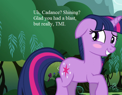 Size: 576x448 | Tagged: safe, edit, edited screencap, screencap, character:twilight sparkle, species:pony, species:unicorn, episode:magic duel, g4, my little pony: friendship is magic, blushing, cropped, female, good clean married sex, implied princess cadance, implied shining armor, implied shiningcadance, implied shipping, implied straight, mare, too much information