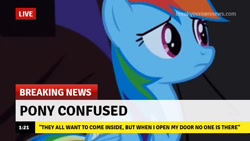 Size: 640x360 | Tagged: safe, edit, edited screencap, screencap, character:rainbow dash, species:pegasus, species:pony, break your own news, breaking news, confused, cute, dashabetes, female, frown, innocent, iwtcird, live, mare, meme, quote, solo