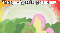 Size: 853x480 | Tagged: safe, edit, edited screencap, screencap, character:fluttershy, episode:sonic rainboom, episode:the cutie mark chronicles, g4, my little pony: friendship is magic, caption, female, filly, filly fluttershy, image macro, solo, younger