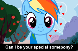 Size: 1024x671 | Tagged: safe, edit, edited screencap, screencap, character:rainbow dash, species:pegasus, species:pony, bronybait, caption, cs captions, female, heart, implied, looking at you, love, mare, smiling, solo, special somepony