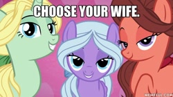 Size: 600x337 | Tagged: safe, edit, edited screencap, screencap, character:dear darling, character:fond feather, character:swoon song, episode:hard to say anything, g4, my little pony: friendship is magic, bimbettes, choose your wife, image macro, meme