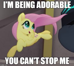 Size: 561x499 | Tagged: safe, edit, edited screencap, screencap, character:fluttershy, species:pegasus, species:pony, my little pony: the movie (2017), and nopony can stop me, cropped, cute, female, image macro, mare, meme, shyabetes, solo focus