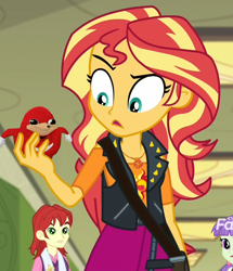 Size: 860x1000 | Tagged: safe, edit, edited screencap, screencap, character:nolan north, character:starlight, character:sunset shimmer, equestria girls:forgotten friendship, g4, my little pony: equestria girls, my little pony:equestria girls, background human, cropped, crossover, discovery family logo, meme, nolan north, overused meme, solo focus, sonic the hedgehog (series), starlight, sunset holding things, ugandan knuckles