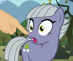 Size: 802x676 | Tagged: safe, edit, screencap, character:limestone pie, species:earth pony, species:pony, episode:the maud couple, g4, my little pony: friendship is magic, boop, boop edit, discovery family logo, female, mare, surprised