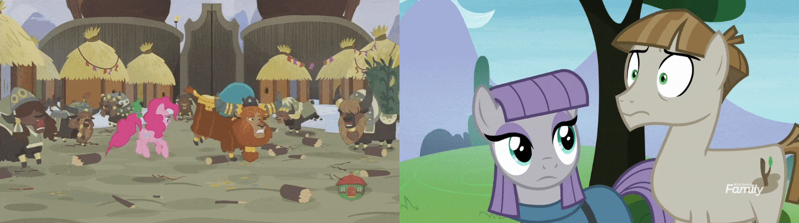 Size: 1612x451 | Tagged: safe, edit, edited screencap, screencap, character:maud pie, character:mudbriar, character:pinkie pie, character:prince rutherford, species:yak, ship:maudbriar, episode:not asking for trouble, episode:the maud couple, g4, my little pony: friendship is magic, animated, female, gif, male, shipping, stick abuse, straight, traumatized, yakyakistan