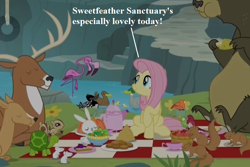 Size: 864x576 | Tagged: safe, edit, edited screencap, screencap, character:angel bunny, character:constance, character:fluttershy, character:harry, character:princess luna, species:bird, species:deer, species:duck, species:mallard, species:pegasus, species:pony, episode:fake it 'til you make it, animal, bear, chipmunk, common loon, cropped, female, flamingo, house finch, loon, mare, mouse, picnic, salad, squirrel, stag, sweet feather sanctuary, tortoise, turtle