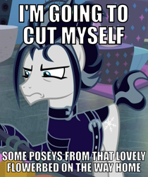 Size: 503x600 | Tagged: safe, edit, edited screencap, screencap, character:snow hope, species:earth pony, species:pony, episode:fake it 'til you make it, bait and switch, caption, clothing, cropped, cutting, emo, goth pony, image macro, jacket, leather jacket, male, meme, solo, stallion, text