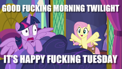 Size: 883x497 | Tagged: safe, edit, edited screencap, screencap, character:fluttershy, character:twilight sparkle, character:twilight sparkle (alicorn), species:alicorn, species:pony, episode:a health of information, g4, my little pony: friendship is magic, image macro, language, meme, vulgar, yelling